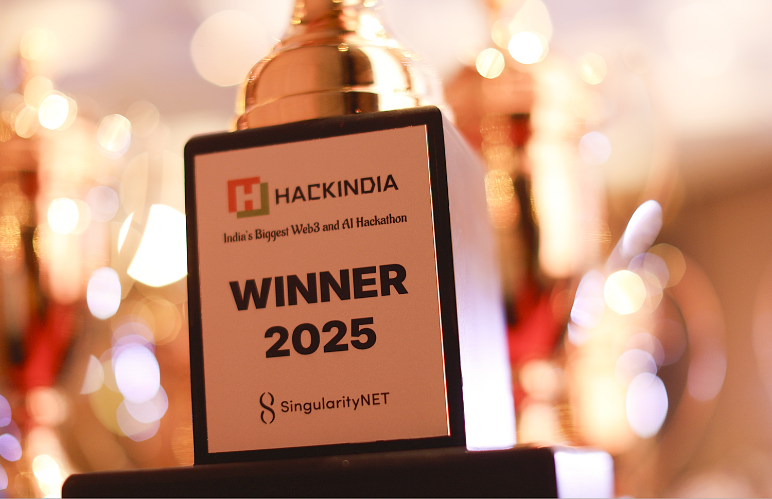 Winner trophy